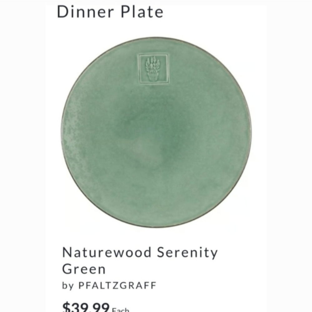 Pfaltzgraff 11 1/8" "Naturewood Serenity " Jade Celadon Green Dinner Plate